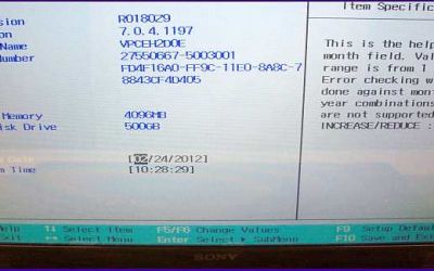 Sony VPCEH2D0E Display repariert