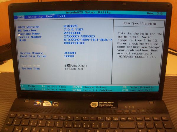 Sony VAIO Display Reparatur am VPCEH2D0E
