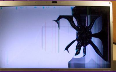 laptop-display-reparatur-sony-vaio-vgn-fwxx-display-ist-gebrochen.jpg